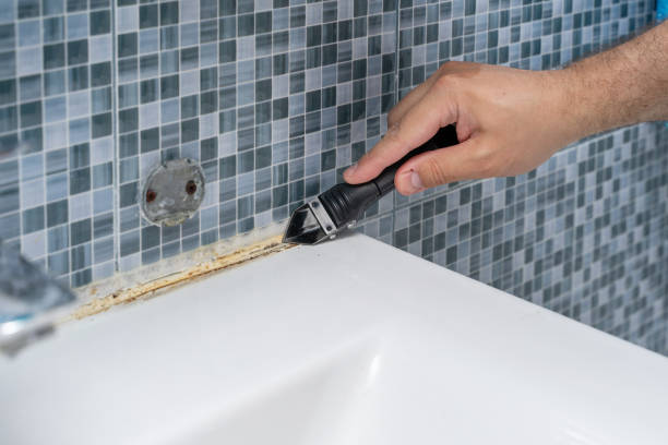 Best Emergency Mold Removal  in Scow Mills, MO
